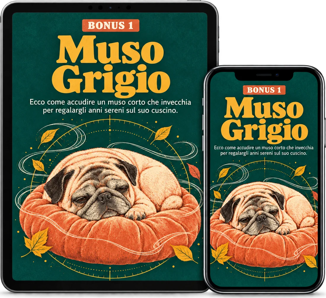 Il bonus Muso Grigio su tablet e telefono